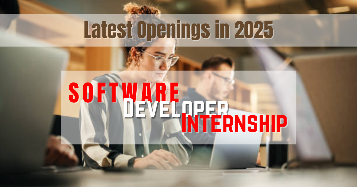 Software Developer Internship